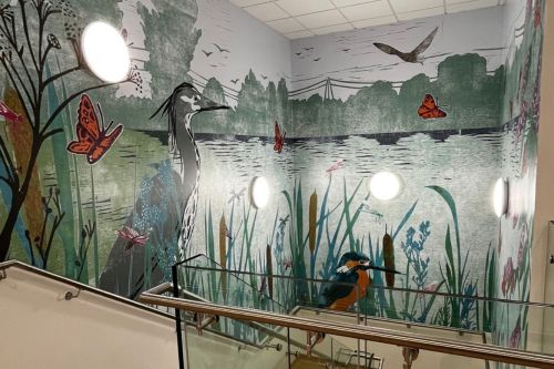 Wood Green CDCs Marshland Oasis